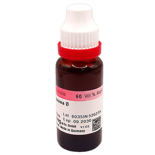 Dr. Reckeweg Ammi Visnaga mother tincture (Q), 20ml