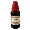Dr. Willmar Schwabe Carica Papaya mother tincture (Q), 30ml