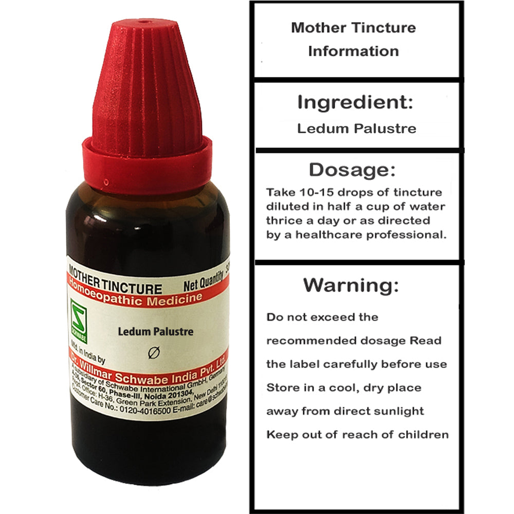 Dr. Willmar Schwabe Ledum Palustre mother tincture (Q), 30ml