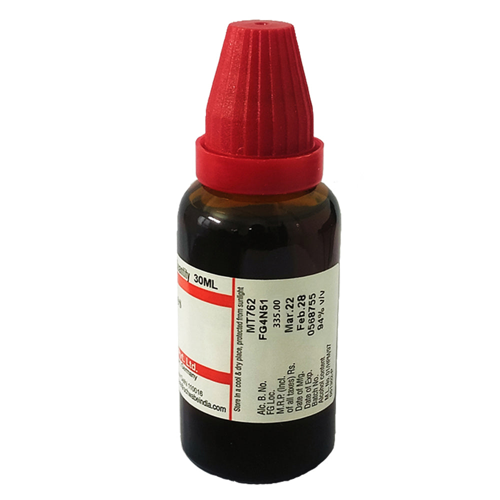 Dr. Willmar Schwabe Solidago Virgaurea mother tincture (Q), 30ml