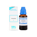 SBL Plantago Major mother tincture (Q), 30ml
